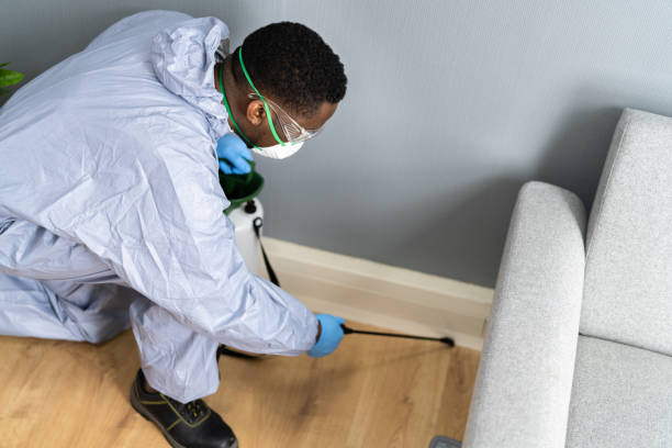 Real Estate Pest Inspections in Chesterbrook, PA